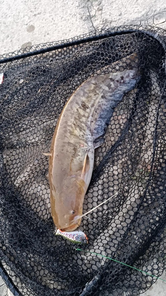 IGMA Lures ribolov 4